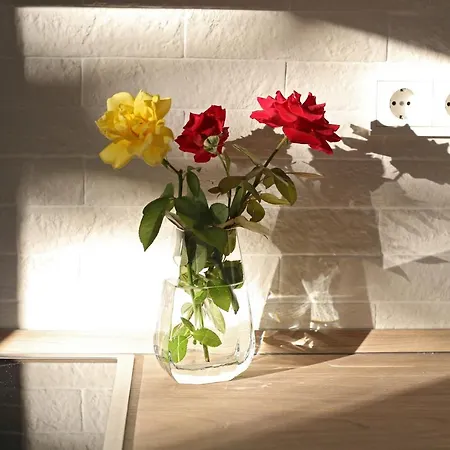 My In Rho Apartment Koskinou (Rhodes)