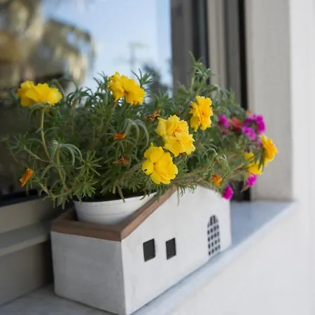 My In Rho * Koskinou (Rhodes)