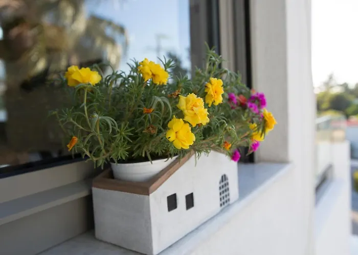 My In Rho * Koskinou (Rhodes)